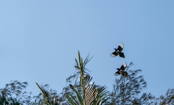 Remboursement lunettes et verres correcteurs : le point sur la dernière reforme